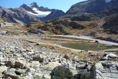 Westalpen 2009
