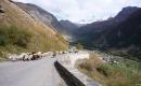 2009_westalpen_006