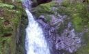 2014_09 Schwarzwald_007