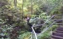 2014_09 Schwarzwald_009