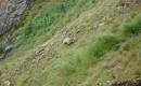 2014_08-dolomiten_020