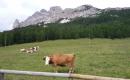 2014_08-dolomiten_026