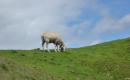 2010_garmisch_069