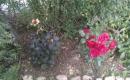 IMAG0028