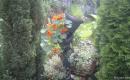 IMAG0032