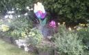IMAG0033
