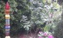 IMAG0034