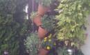 IMAG0036