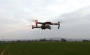 mavic