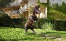 2012_mallorca_010