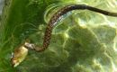 2012_mallorca_040