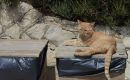 2012_mallorca_071