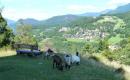 Passkontrolle_2016_068