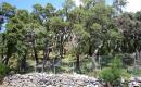 2008_sardinien_033