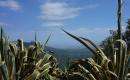 2008_sardinien_066