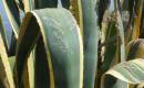 2008_sardinien_067