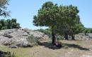 2008_sardinien_074