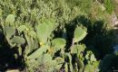 2008_sardinien_086
