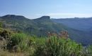 2008_sardinien_098
