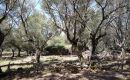 2008_sardinien_117
