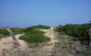 2008_sardinien_136