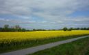 2014_05 Schlei_026