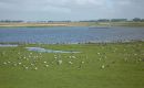2014_05 Schlei_042
