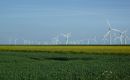 2014_05 Schlei_059