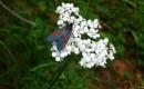 2009_slowakei_042