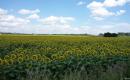 2009_slowakei_054