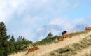 2015_09 Westalpen 124